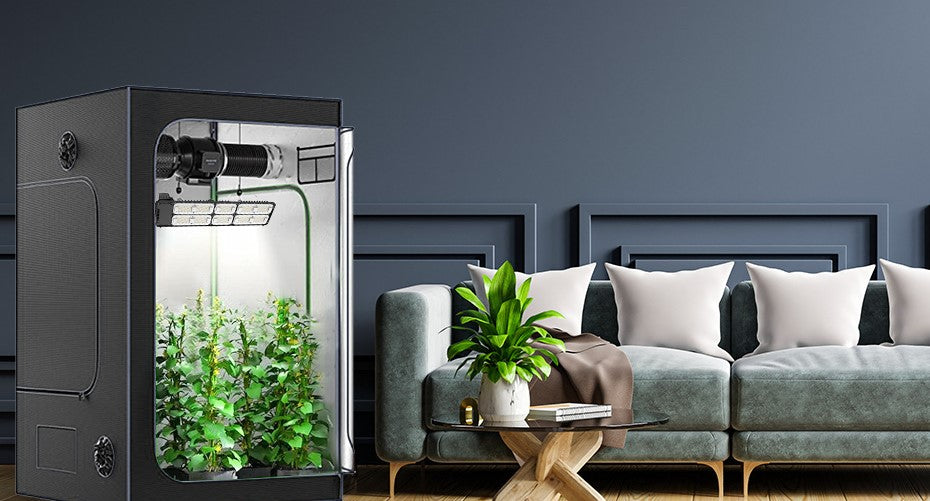 The Benefits of Using a Grow Tent for Indoor Gardening
