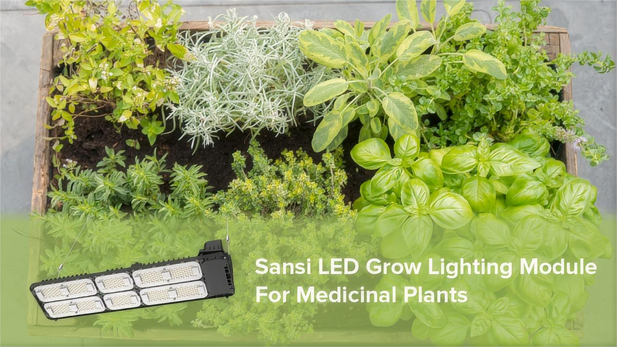 Maximizing Your Plants Harvest: Essential Requirements for Home Growing LED Lights