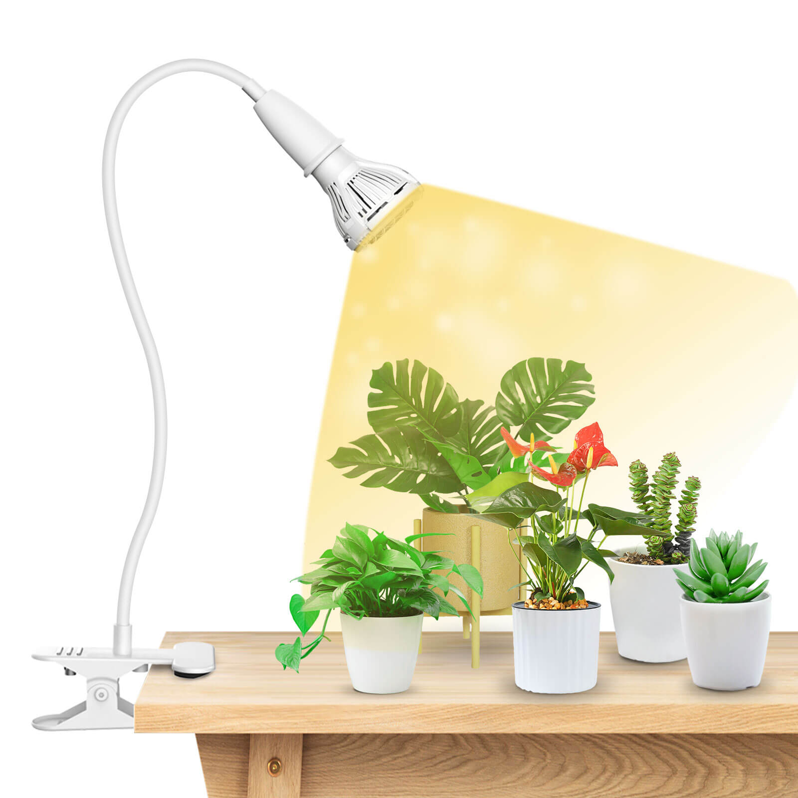 Desk lamp 2024 grow light