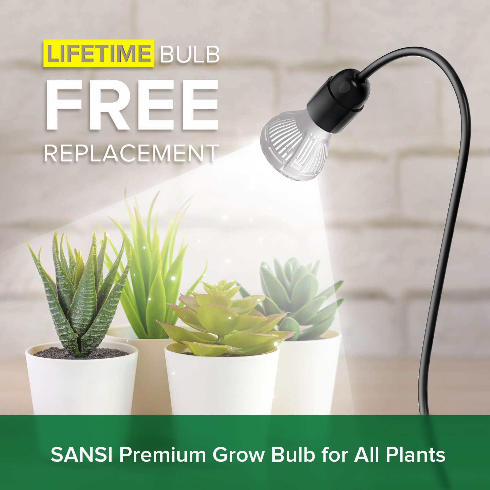 SANSI LED Grow Lights for Indoor Plants, Full Spectrum High PPF Plant Grow  Light, 60W Indoor Plant Lights for 2x3ft Growing, Seed Starting, Blooming