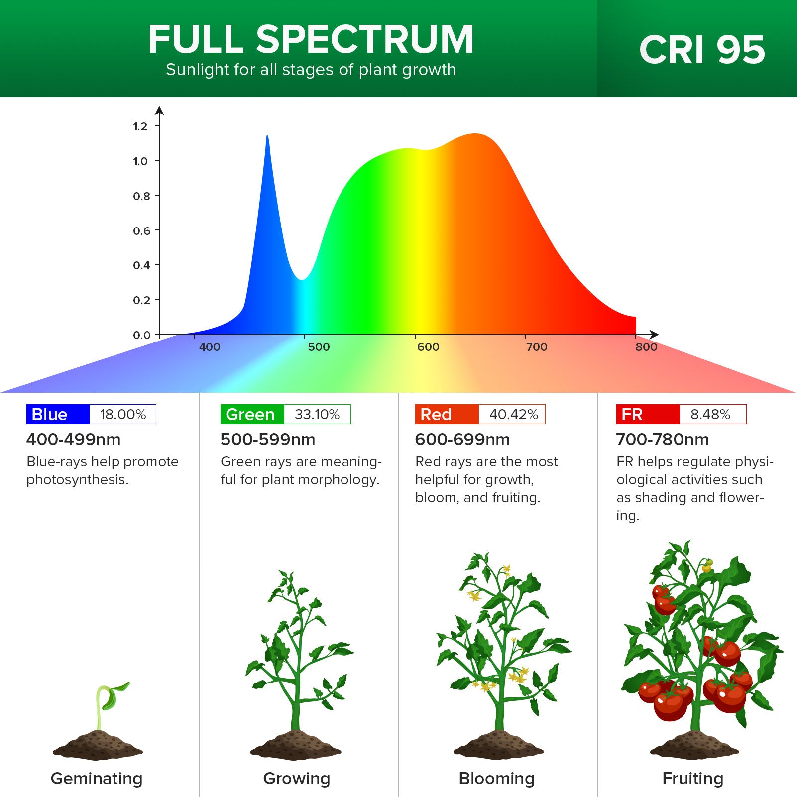 40W Adjustable 4 Head Clip on LED Grow Light with Timer No Timer