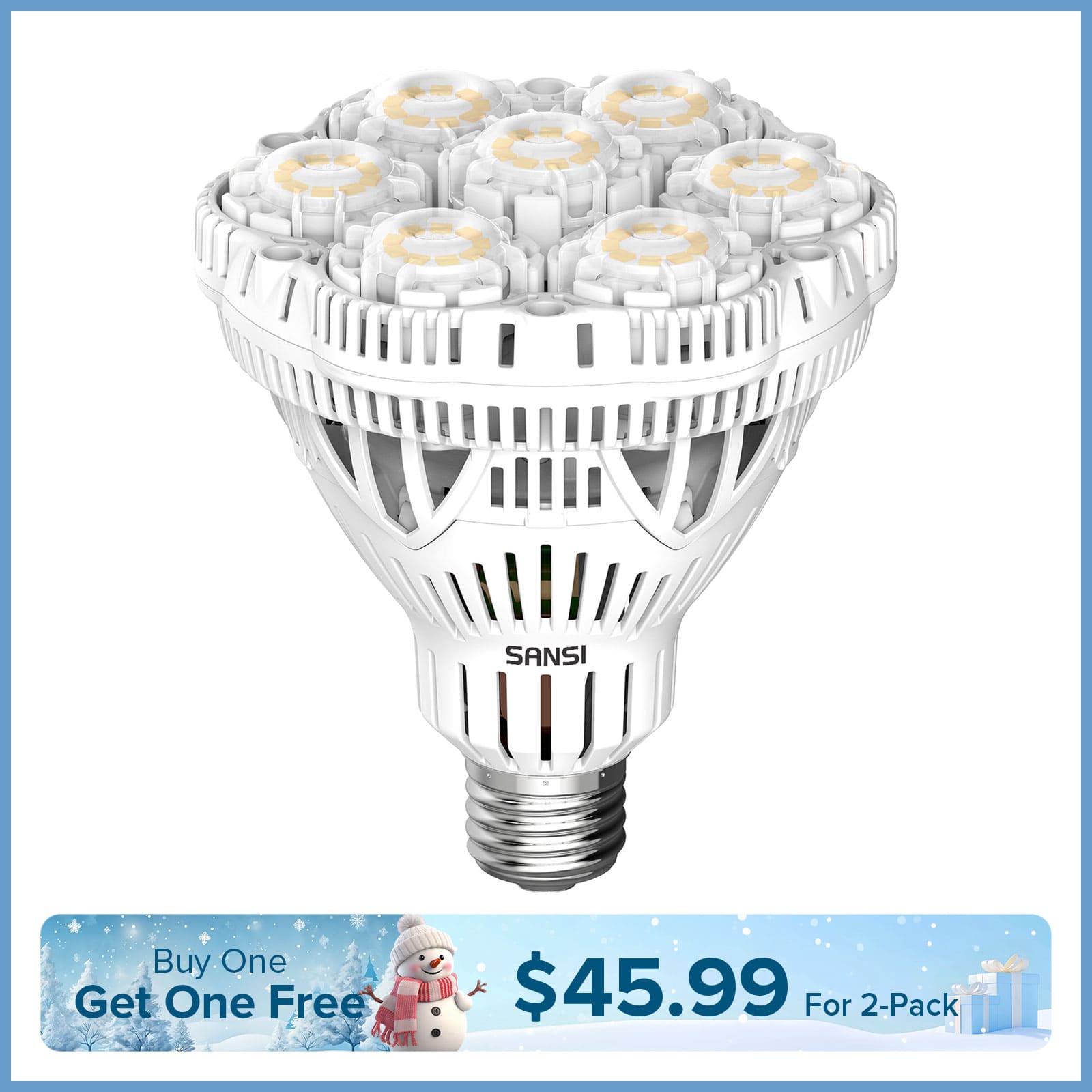 BR30 40W LED Light Bulb