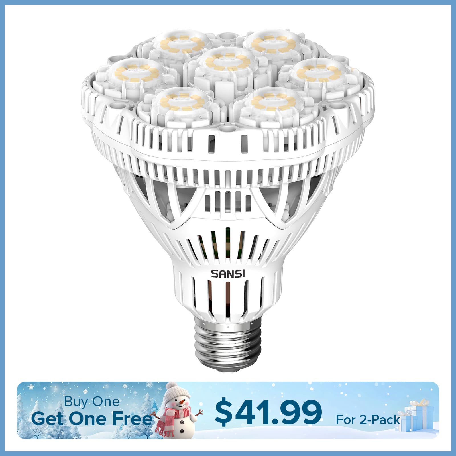 BR30 40W LED Light Bulb