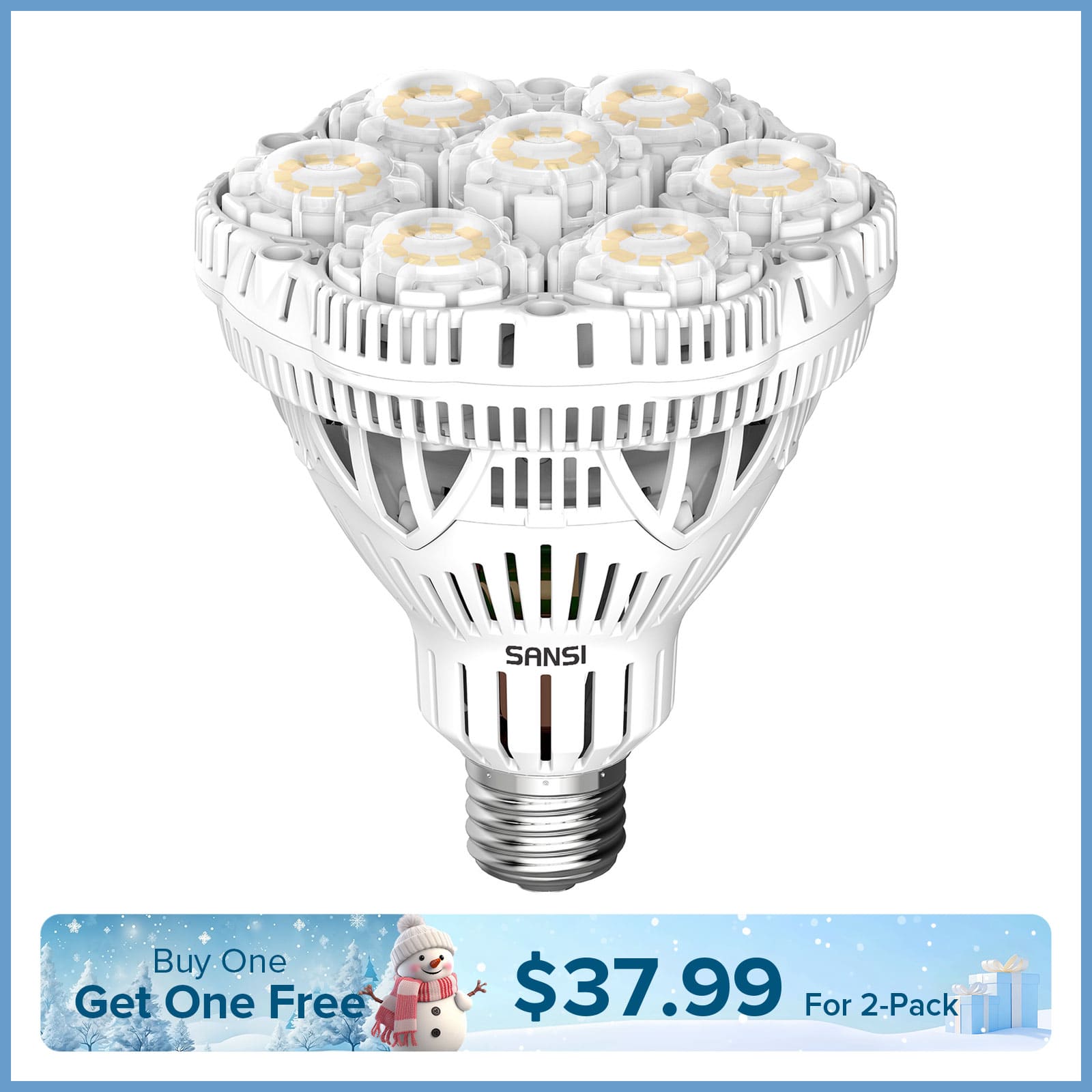 BR30 40W LED Light Bulb