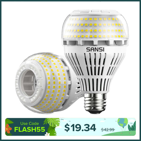 A21 22W LED 3000K/5000K Light Bulb
