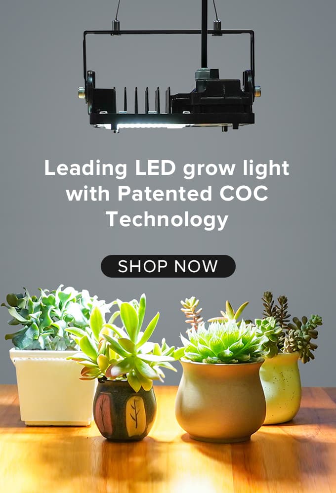 Best grow online light timer