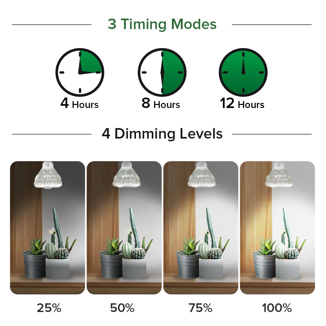 Timer and Brightness Adjustment：4/8/12 Hours Timer & 4 Levels Brightness to meet your different needs.