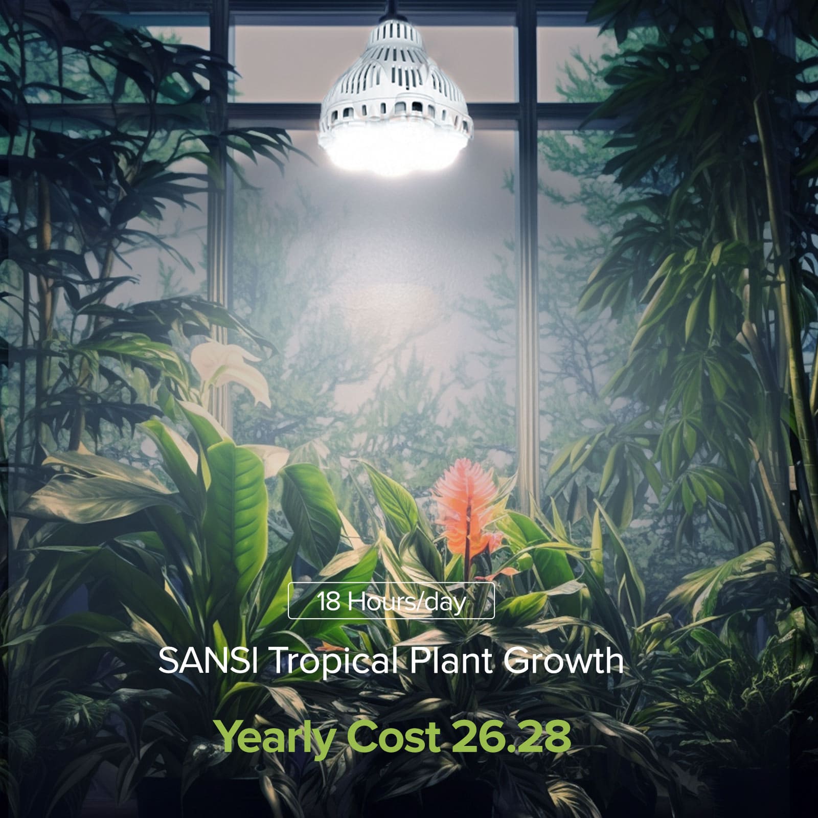 18 Hours/day for Tropic Plant Growth,Yearly Cost $26.28.