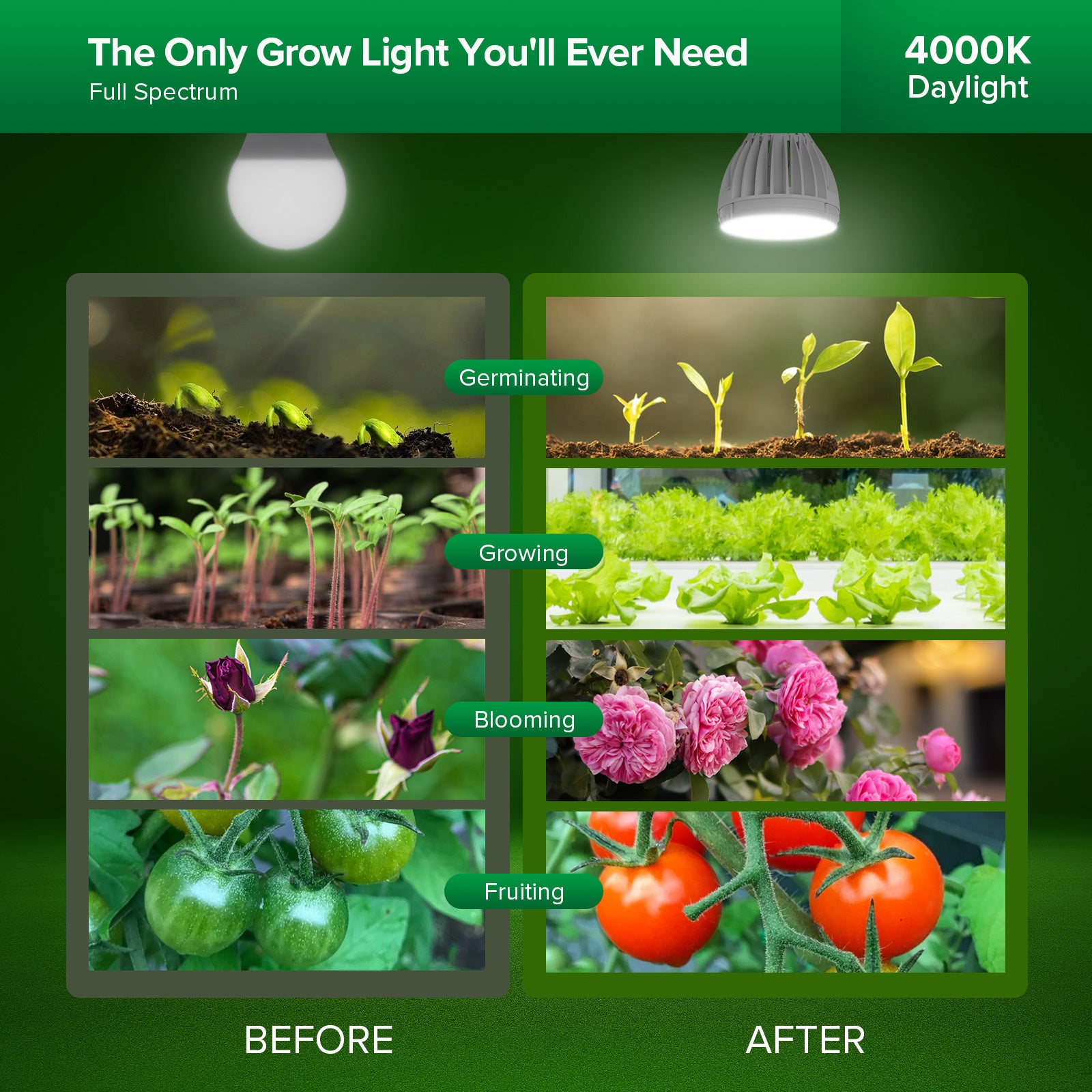 24W LED Grow Light Bulb with full spectrum for Indoor Plants