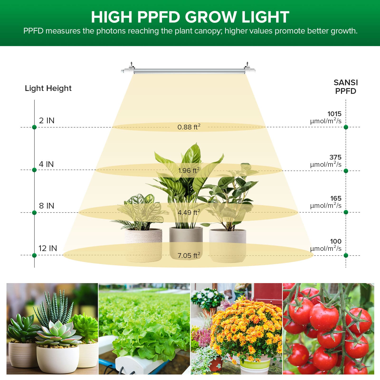 SANSI T8 25W LED Grow Light is equipped with high PPFD, PPFD measures the photons reaching the plant canopy, higher values promote better growth.