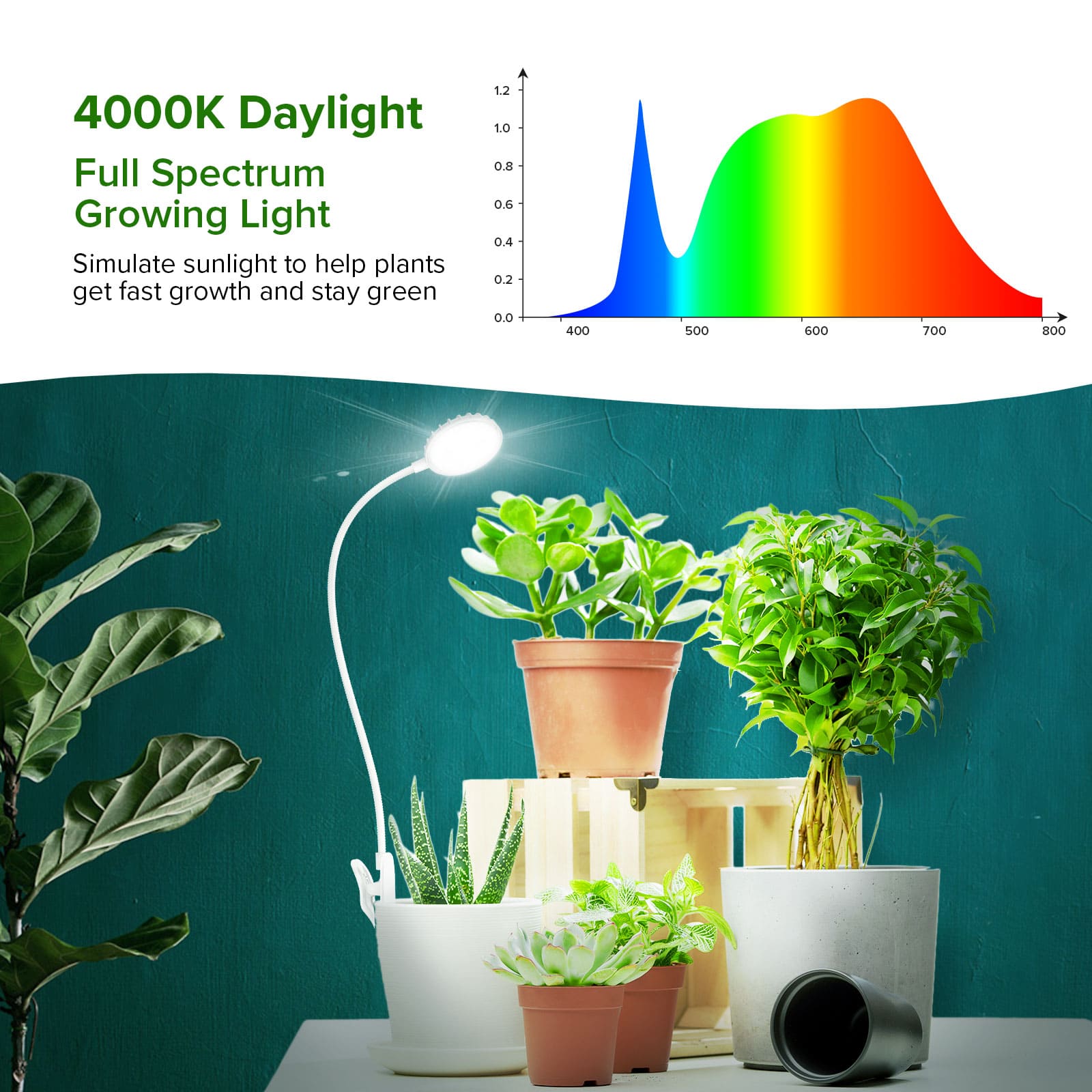 4000K Daylight,Full Spectrum Growing Light.
