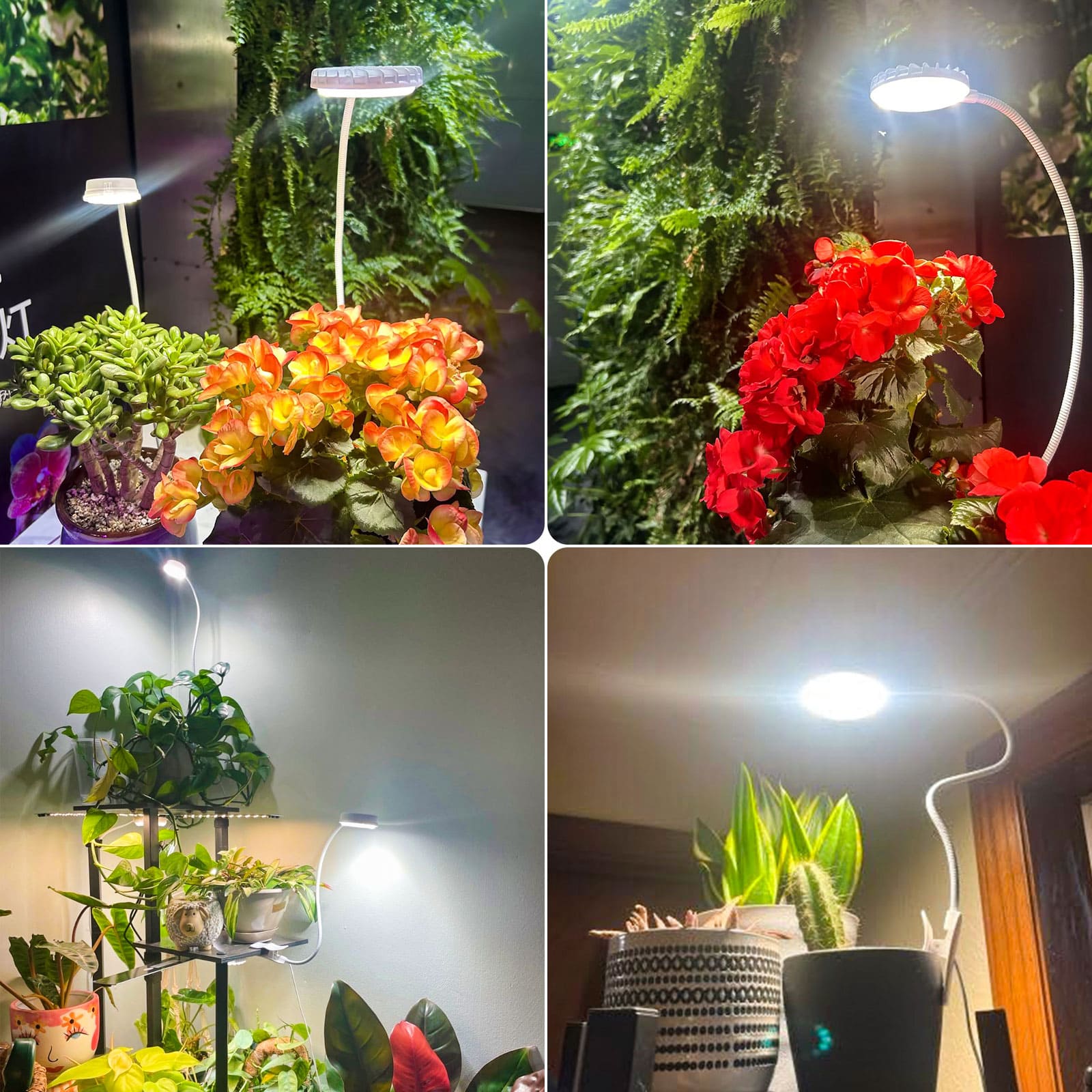 Upgraded 10W Pot Clip Led Grow Light (US ONLY)