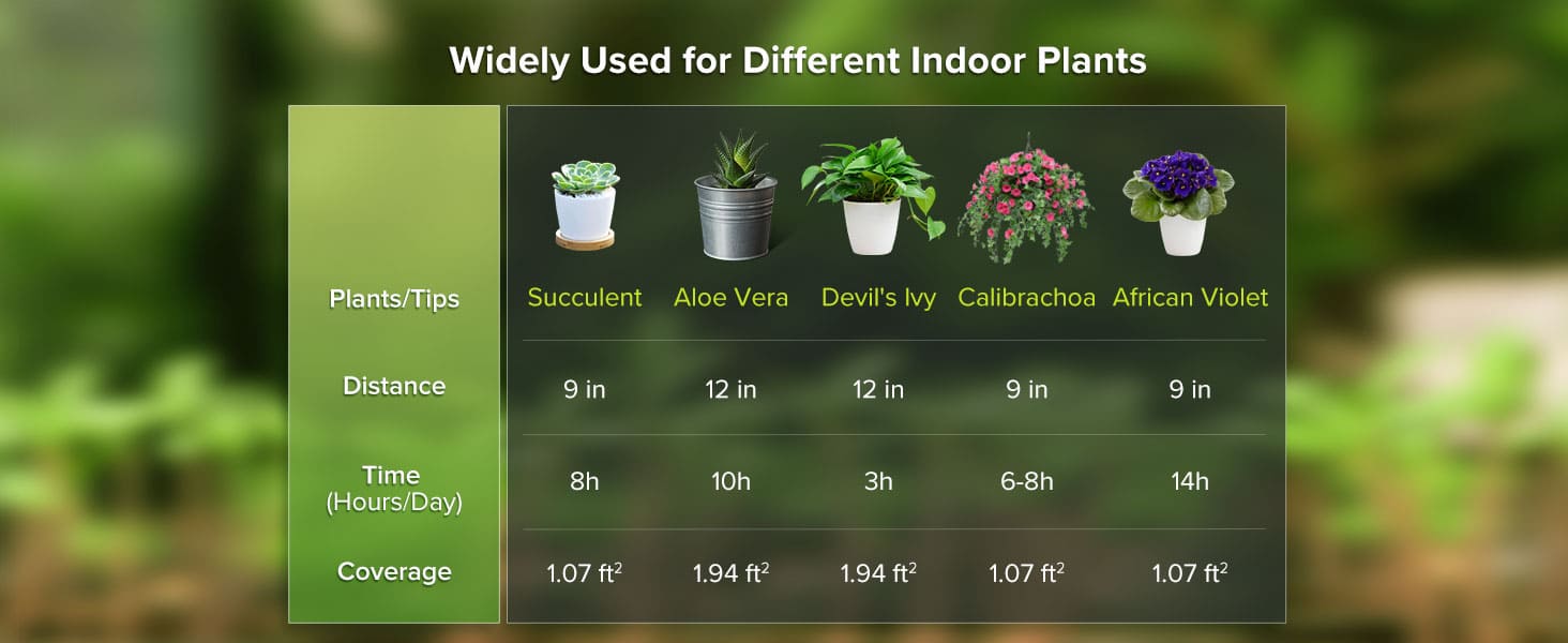 Widely Used for Different Indoor Plants.