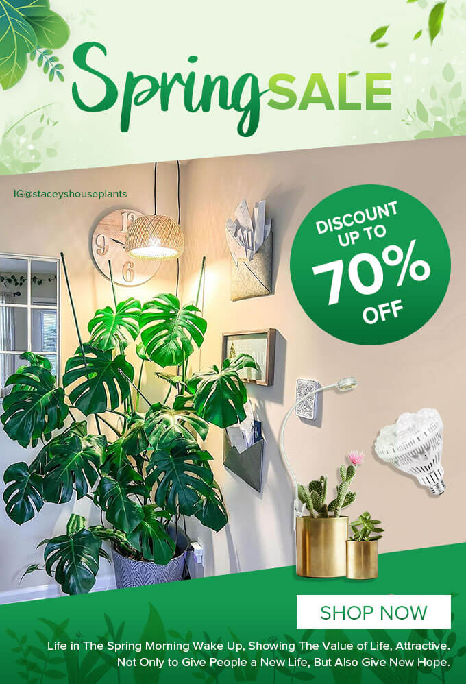 70% OFF ｜ 70% OFF-Text ｜ Illustration ｜ Free material
