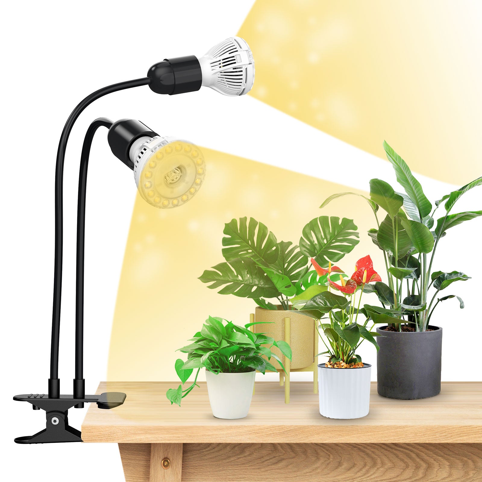 20W Adjustable 2-Head Clip-on LED Grow Light