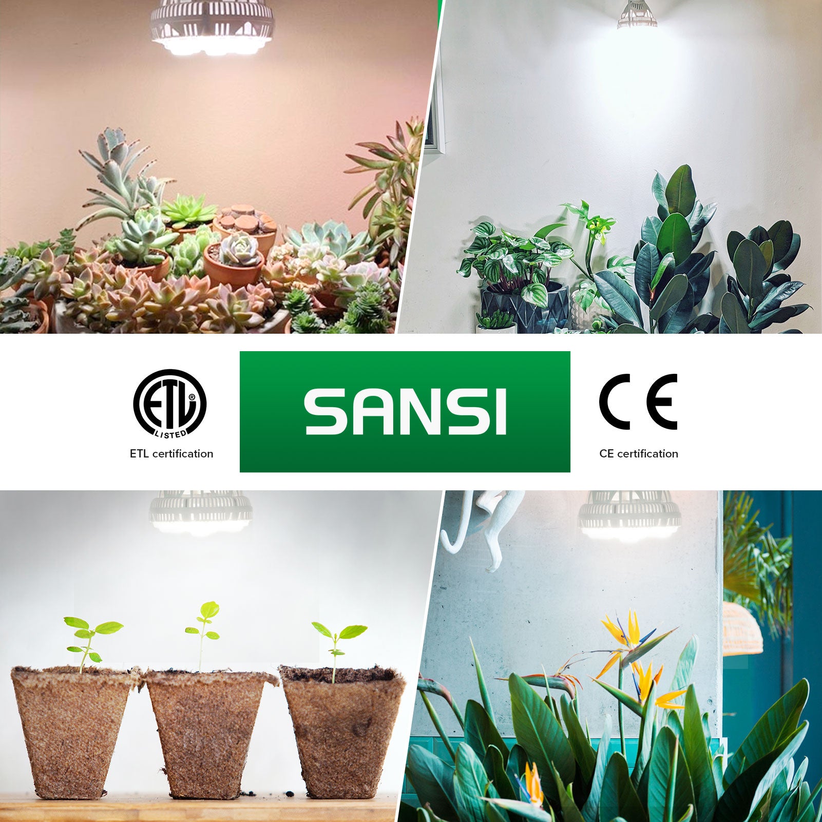 36W LED Grow Light Bulb for Indoor Plants Growing Flowers