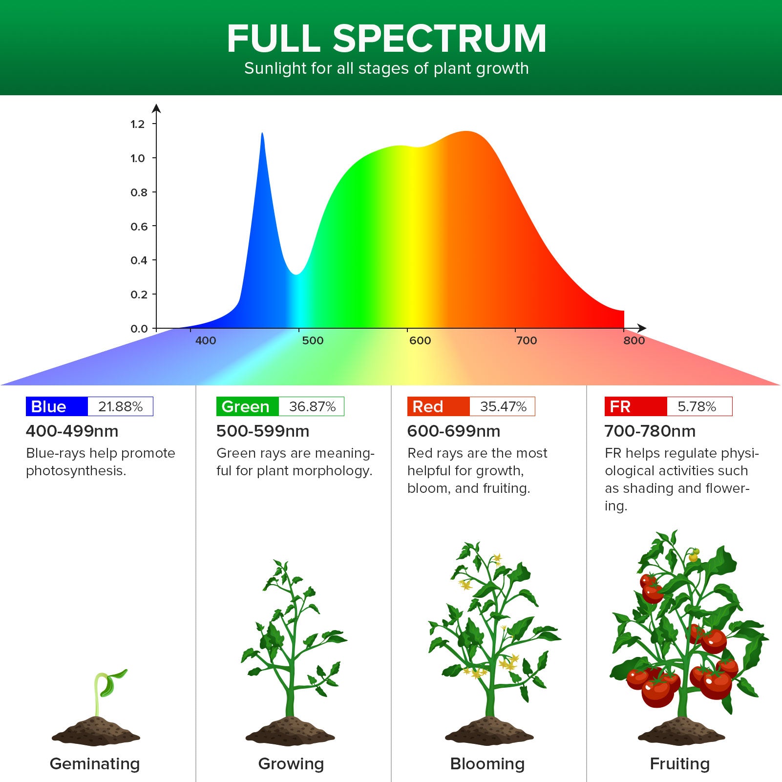 A21 15W LED Grow Light Bulb EU UK ONLY