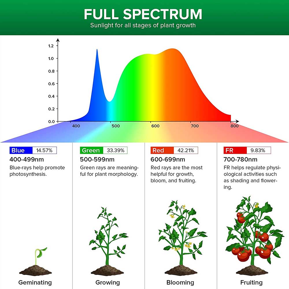 Full spectrum grow deals bulb